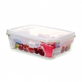 Large Hot-Sale Glass Food Containers with BPA-Free Plastic Lids